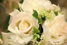 白いバラの花とパールの画像