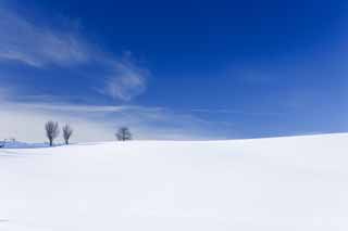 青空と雪原の風景の画像